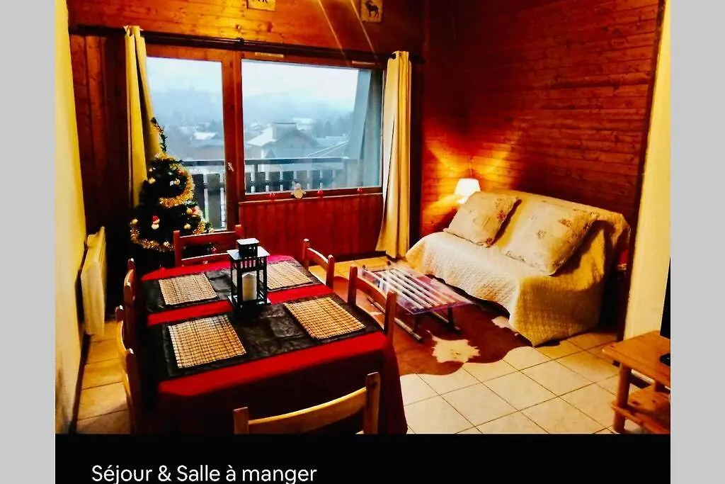 Superbe appartement au centre de Samoëns France